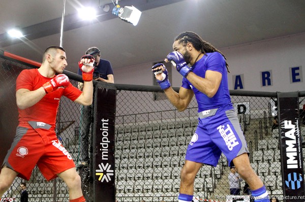 IMMAF MMA action photos 7