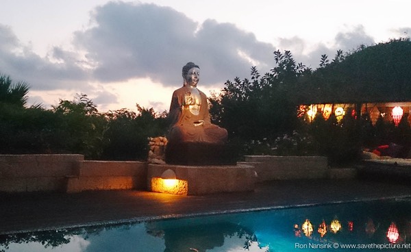 Ibiza retreats Natural Tuning night view Buddha