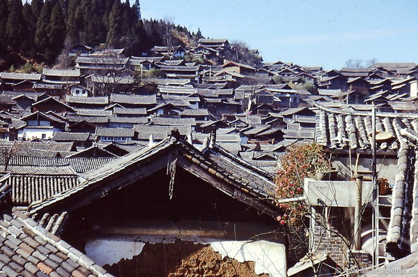 Lijiang ancient rooftops