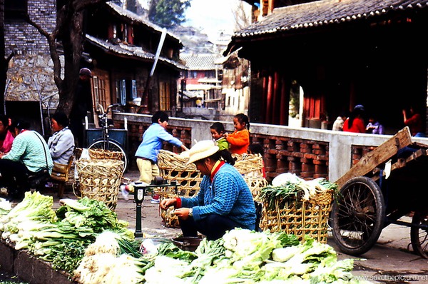 Ljijiang Naxi women clean vegetables