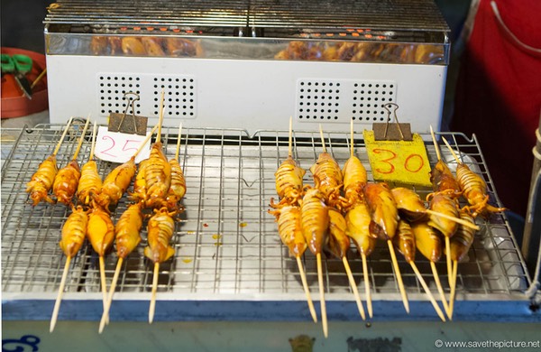 Fried squid on a stick on the Lamai night market