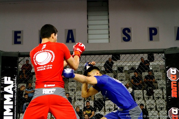 IMMAF MMA action photos 2