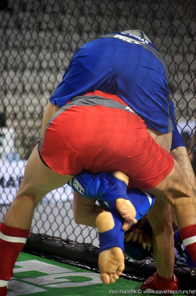 IMMAF MMA action photos 21