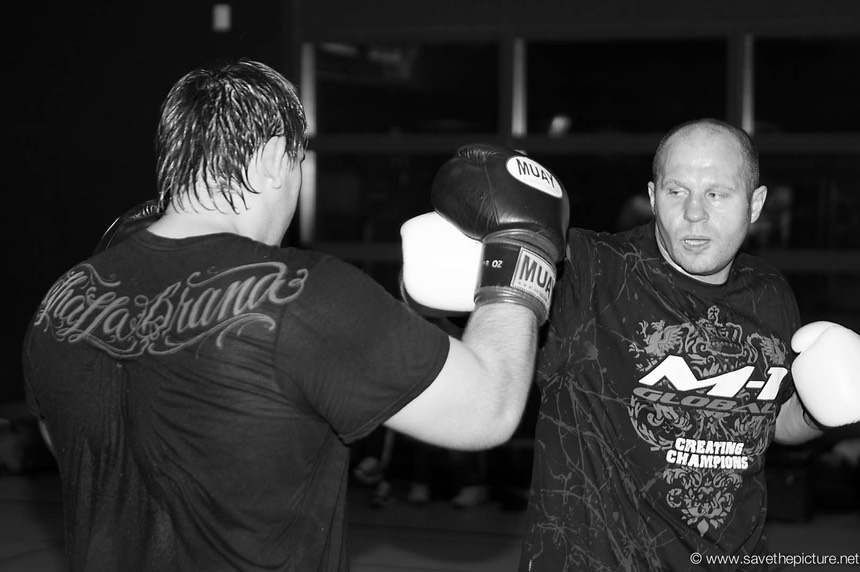 Fedor Emelianenko MMA power punching