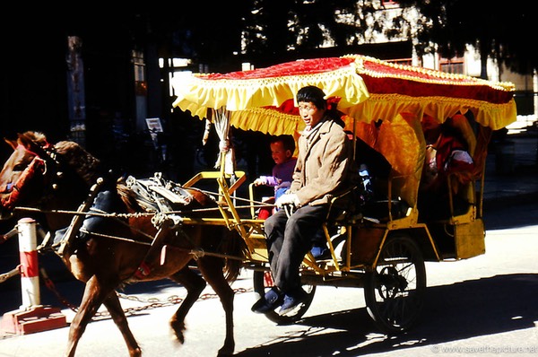 Lijiang Naxi horse taxi
