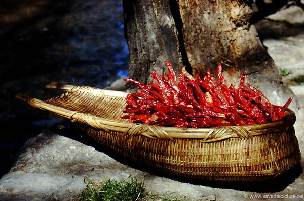 Lijiang super red peppers