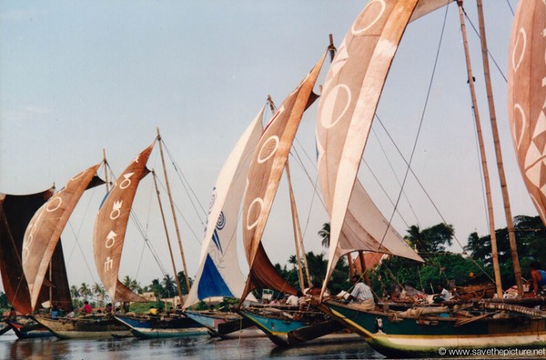Sri Lanka catamaran art Negombo harbour