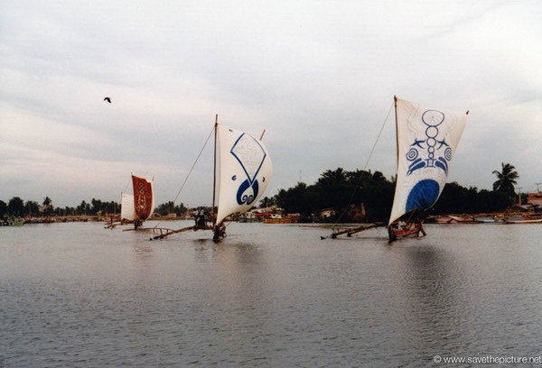 Sri Lanka catamaran art, sailing out